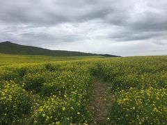 -扁都口生态休闲旅游区