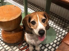 -Luneurs(幸福里店)