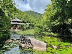 -三亚亚龙湾人间天堂鸟巢度假村