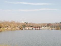 -宜兴龙背山森林公园