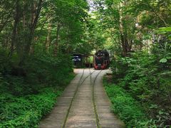 -五营红松林海景区