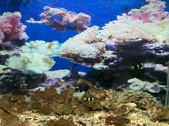 -泉州海丝野生动物世界