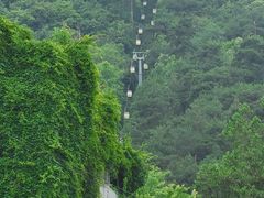-黔灵山公园