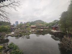 -顺峰山公园