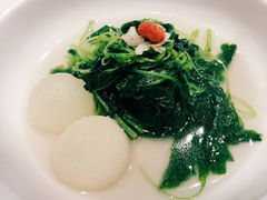-子福慧(虹桥店)
