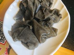 -董家湾重庆老火锅(嘉华店)