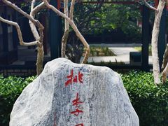 -北京第二实验小学