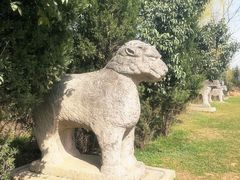 -明秦王墓遗址