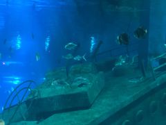 -福州罗源湾海洋世界旅游区