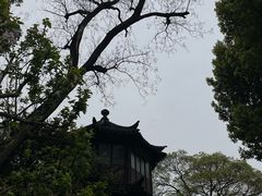 -拙政园