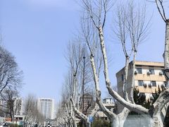 -浙江大学(玉泉校区)
