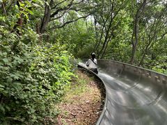 -富斯特索道