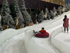 -世界之窗阿尔卑斯冰雪世界