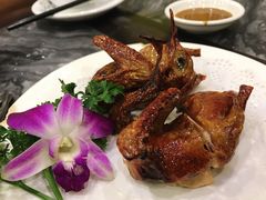 -鸽鸟轩(石岐店)