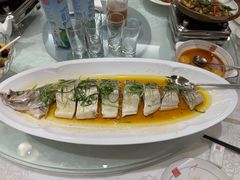 -潇湘甲鱼村(清河店)
