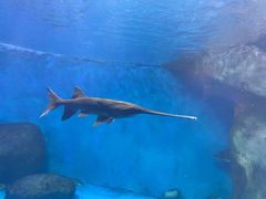 -多彩贵州城极地海洋世界