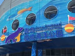 -海合安青岛极地海洋公园