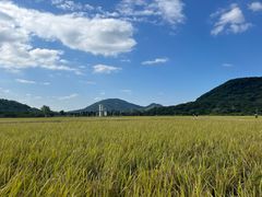 -风云岭森林公园