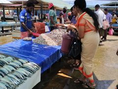 -尼甘布海鲜市场