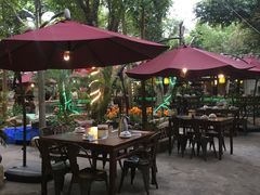 -园林美食城·本土农家菜(杨和镇店)