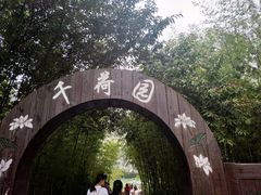 -泗洪洪泽湖湿地景区