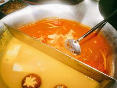 台式麻辣花胶鸡鸳鸯锅-湊湊火锅·茶憩(世博大道店)