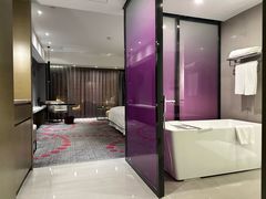 -南京禄口机场雅高铂尔曼大酒店