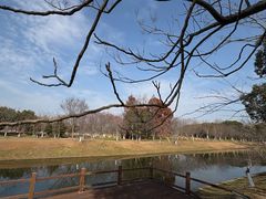 -上海海湾国家森林公园