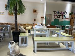 -藏猫猫咖啡主题馆(中央大道店)