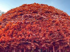 -郑州方特梦幻王国