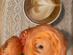 -树咖啡tree coffee