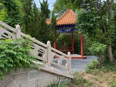 -日照海滨国家森林公园