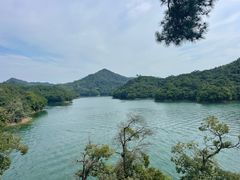 -黄山太平湖风景区