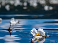 -丽江泸沽湖景区