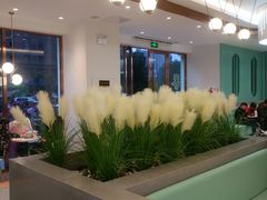 -CoCo都可(大润发店)