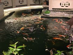 -顺德了能馆(虎门店)