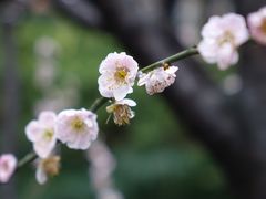 -静安雕塑公园