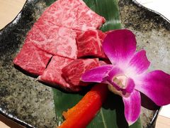 -神户牛焼肉専門店 牛一(道顿堀店)