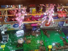 -79号渔船海鲜饭店(华强北店)