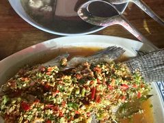 -金山锅贴店(金泉路店)