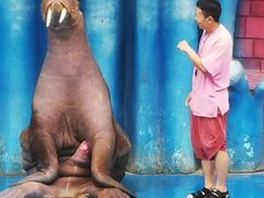 -华夏文旅海洋公园