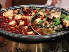 -锦尚阁烤鱼(望京新荟城店)