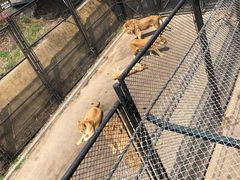 -大连森林动物园