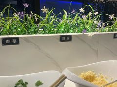 -重庆巴渝火锅(钟家村店)