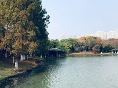 -白塘生态植物园