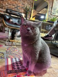 -青木造型HAIR·あおき髪を刈る潮人店