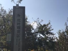 -广州市石门国家森林公园