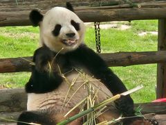 -西霞口神雕山野生动物世界