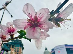 -王府井步行街