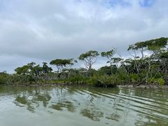 -东寨港红树林旅游区